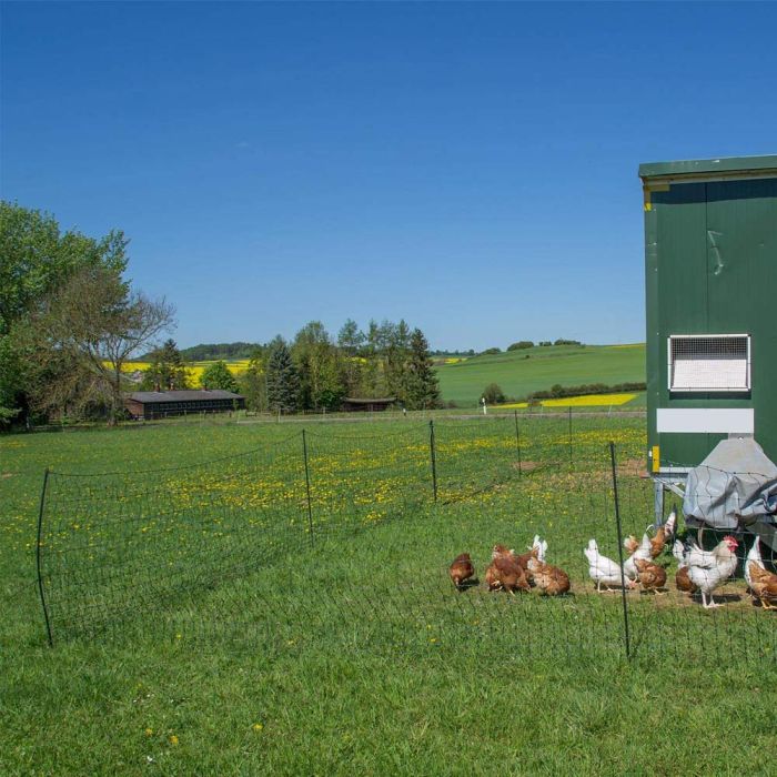 Filet volaille électrifiable 50m, h 1.2m 