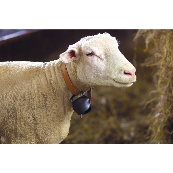 Cloche en acier bombé Black-Blue 64 mm