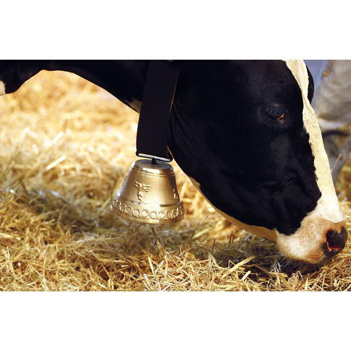 Cloche ronde en fonte de laiton 180 mm