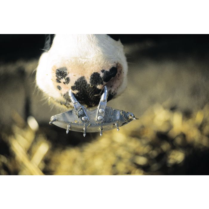 Antitêteur à pointes règlable à vis