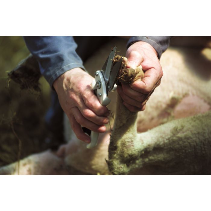 Cisaille onglons pour mouton blanche lames non crantées