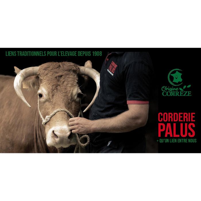 Licol bleu et blanc en Polypropylène Ø 16 mm, 3 m