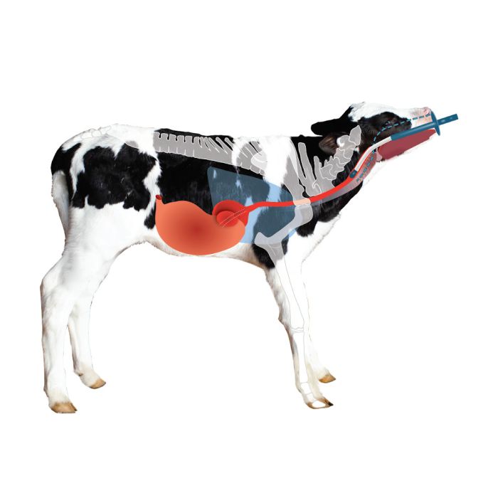 Biberon avec tétine Antahi