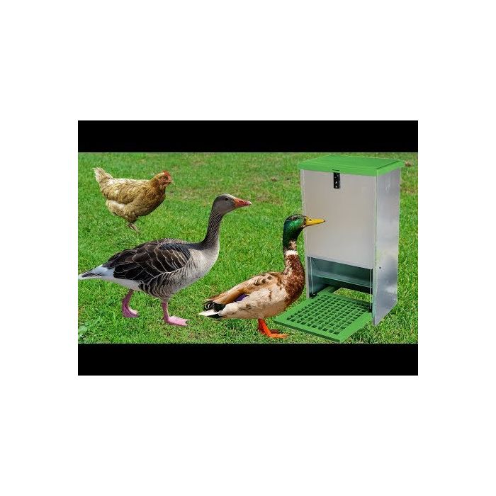 Mangeoire anti-nuisible à trémie, 20 kg