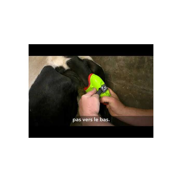 Moocall Détecteur de vêlage pour bovin 