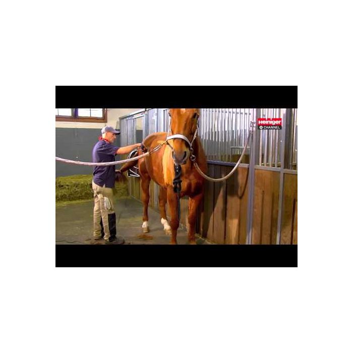 Tondeuse Heiniger Saphir sans fil, 2 batteries