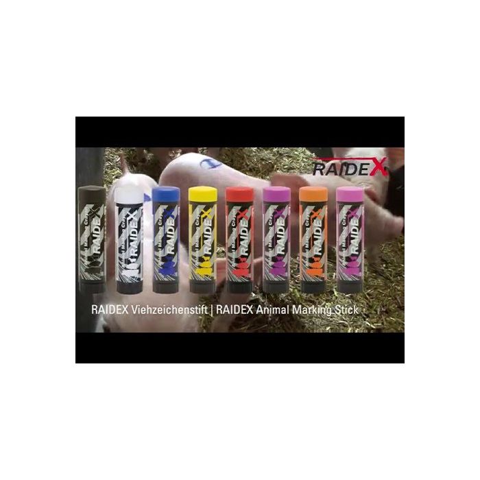 Crayon marqueur Raidex bleu X10