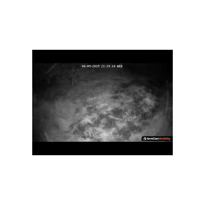 Caméra Farm Cam Mobility 4G