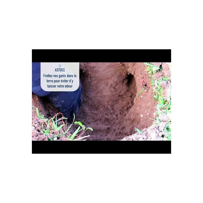 Kit taupes putange - TRAPPERS&CO