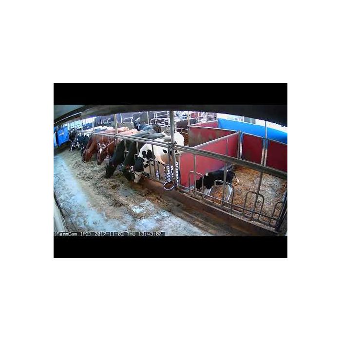 Camera Farm Cam IP2 LUDA FARM