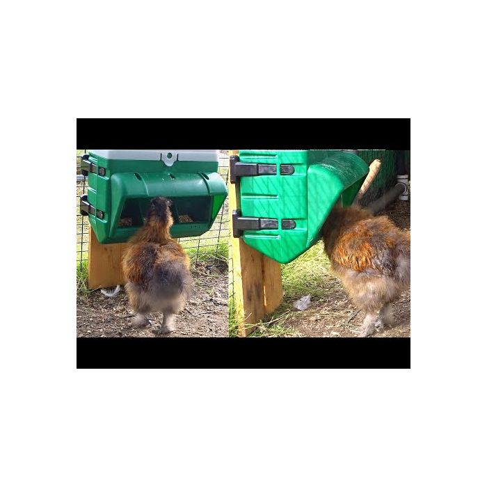 Mangeoire Clever 10kg