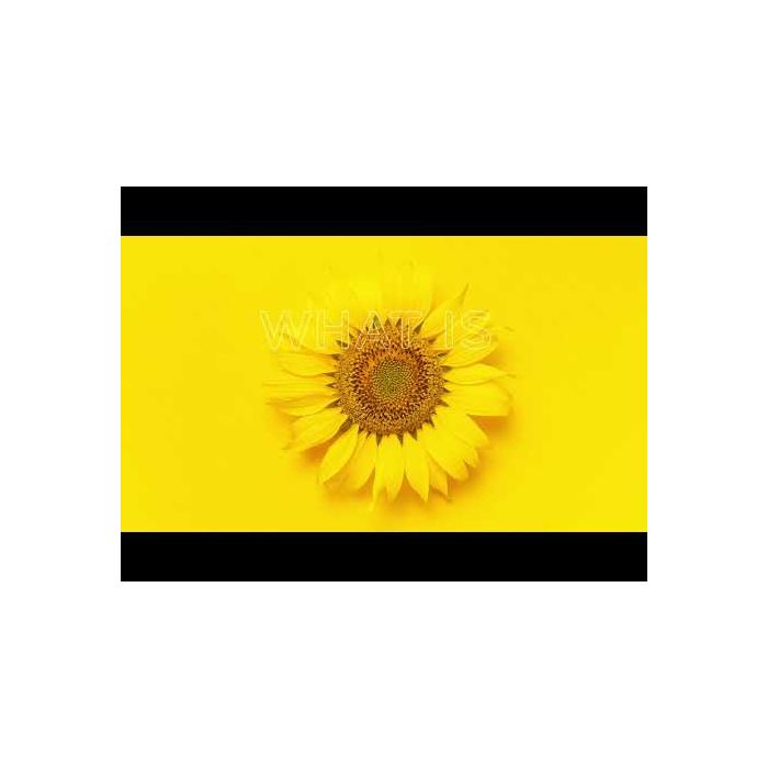 Graisse à traire BIO EUTRA