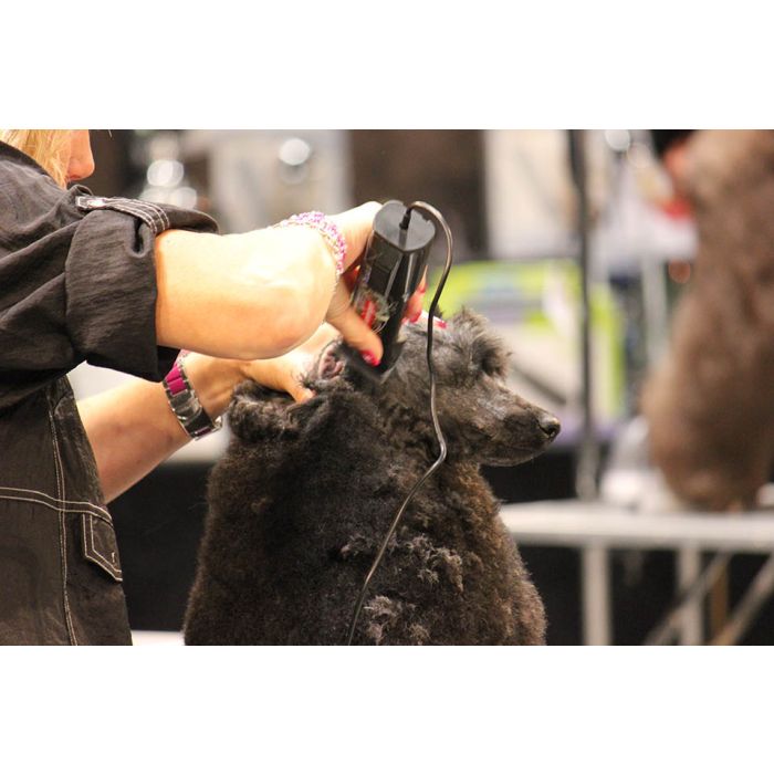 Tondeuse Heiniger Saphir Cord, pour petits animaux 