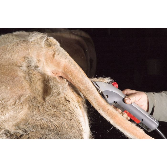 Tondeuse Heiniger Delta 3 180 W 