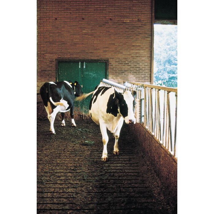 Brosse à vache VINK