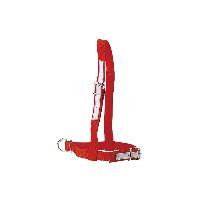 Licol en nylon rouge pour vache