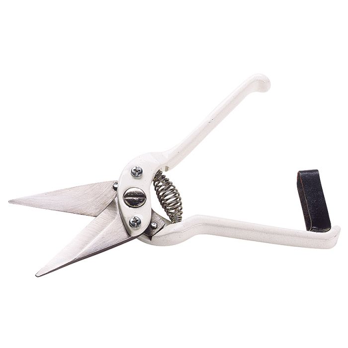 Cisaille onglons pour mouton blanche lames non crantées