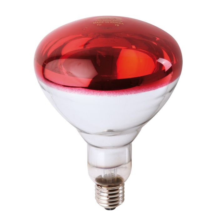 Ampoule PHILIPS IR à vis rouge 150W