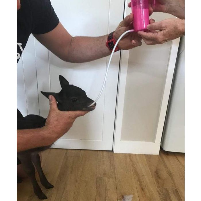 Tube de remplacement pour le TrustiTuber pour agneau ANTAHI