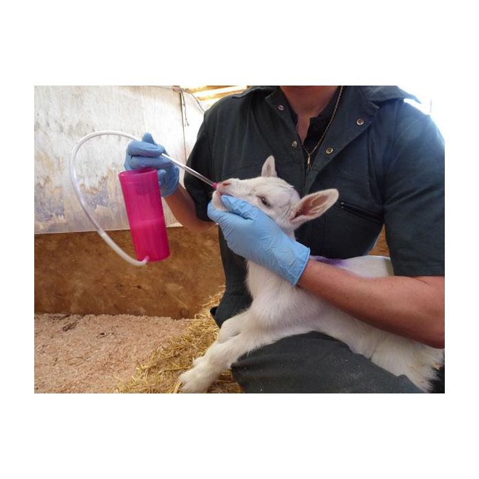 Tube de remplacement pour le TrustiTuber pour agneau ANTAHI