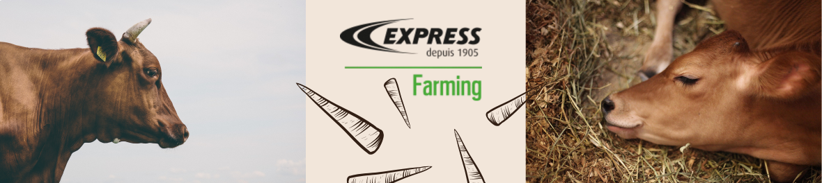 Express Farming, écornage, épilation thermique