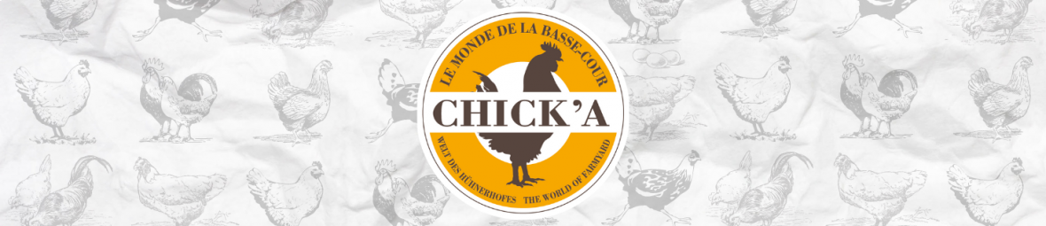 Chick'a, basse-cour, volaille, élevage