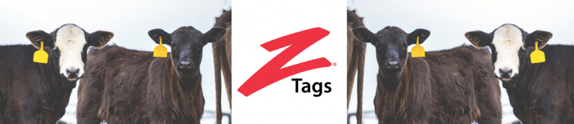 Ztag, marquage, identification 