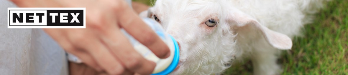 Nettex, tétines, nutrition, alimentation