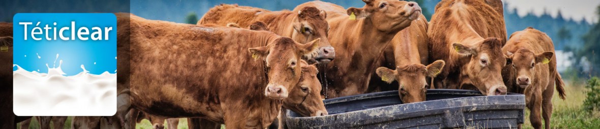 Teticlear, seau, alimentation 