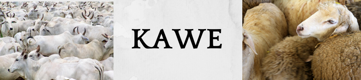 Kawe